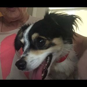 Meet your Posher, Pam